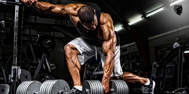 Does Body Building Cause Hair Loss